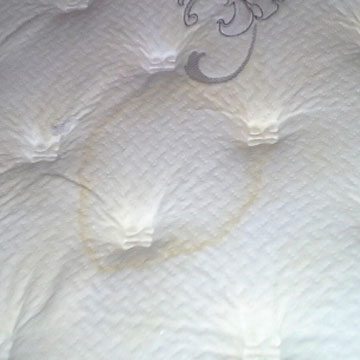 Urine Stain on the Mattress. Unfortunately, the accidents went on for a bit before they called us.