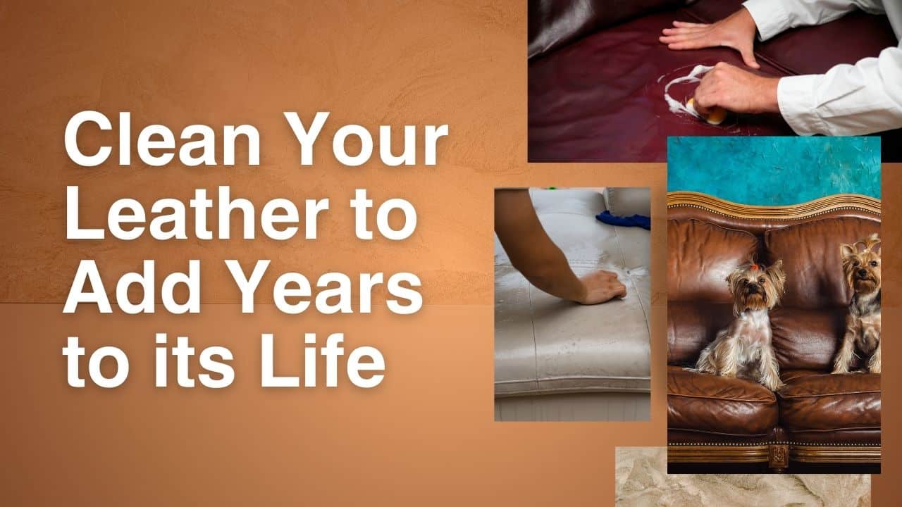 Keep Your Leather Looking Beautiful