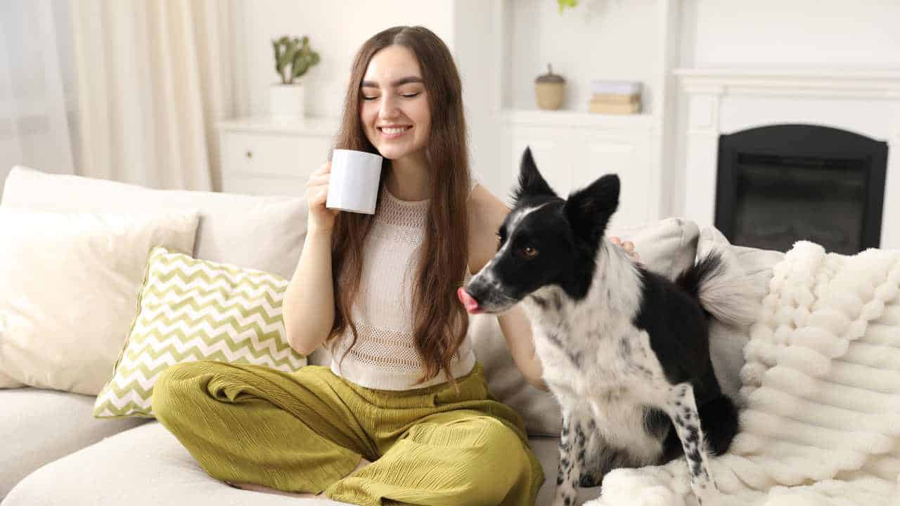 Dog Hair Gets all Over Furniture!